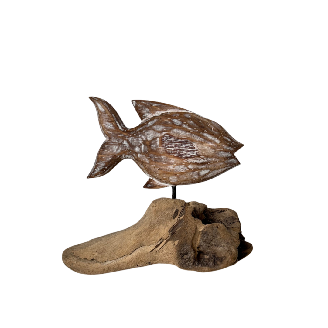 Suzie Blue Canada - Driftwood Fish Decor - Natural