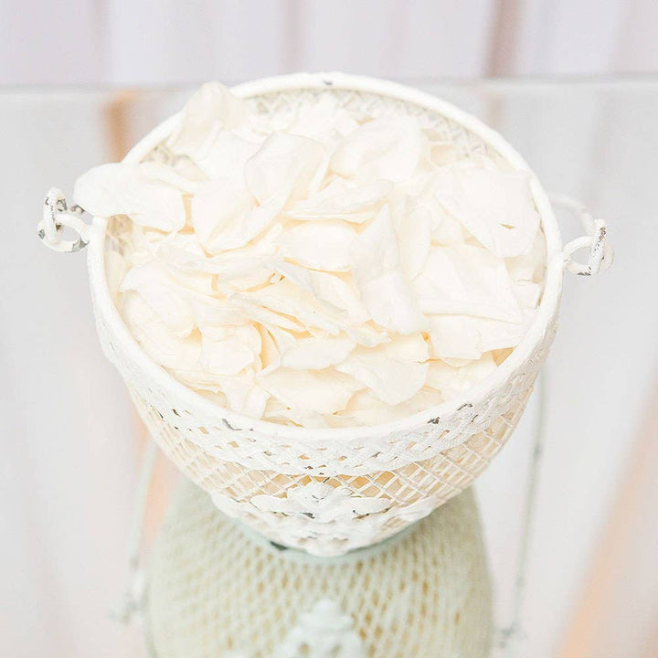 Weddingstar Inc. - Shabby Chic Metal Flower Basket