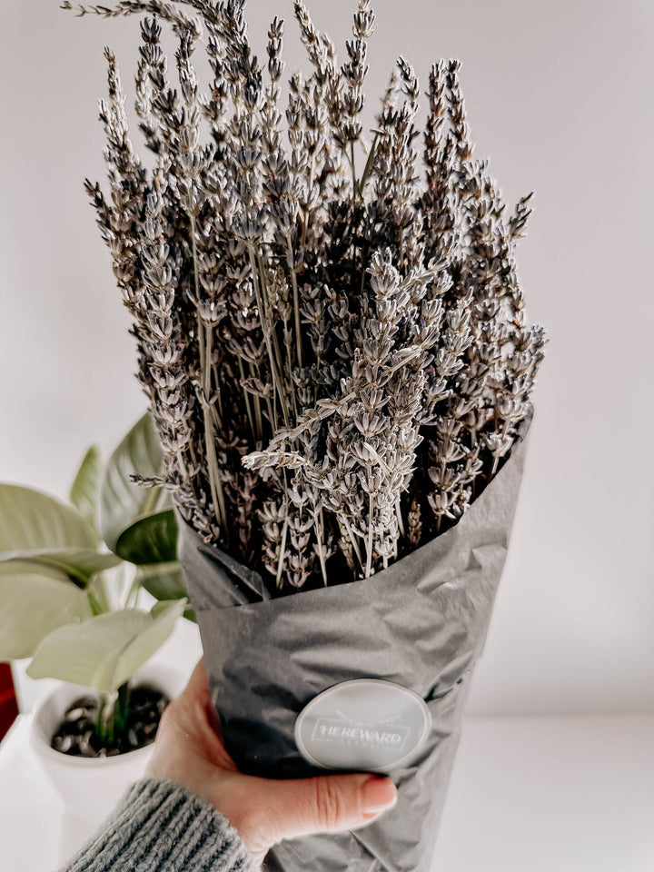 Hereward Farms - Lavender | Dried French Lavender Bunch