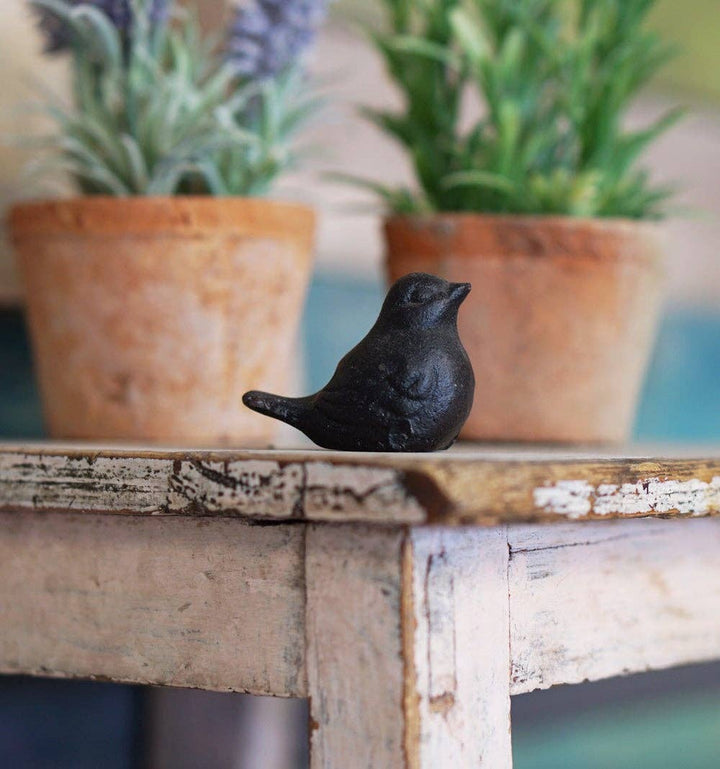 S/2 Mini Cast Iron Birds