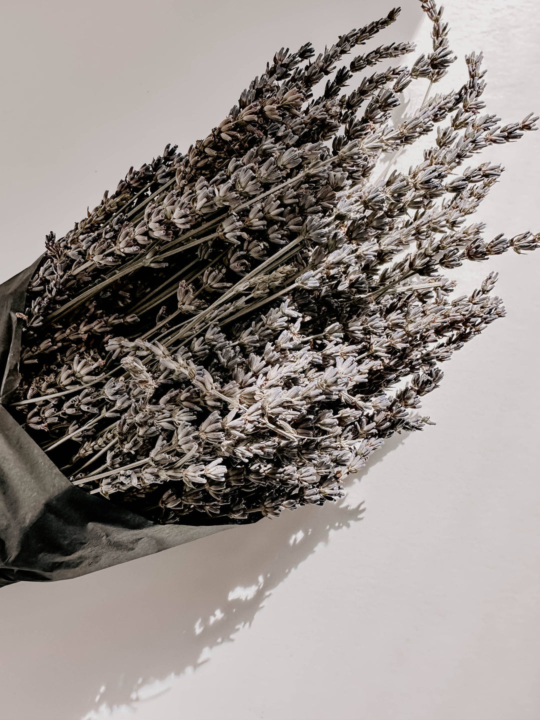 Hereward Farms - Lavender | Dried French Lavender Bunch