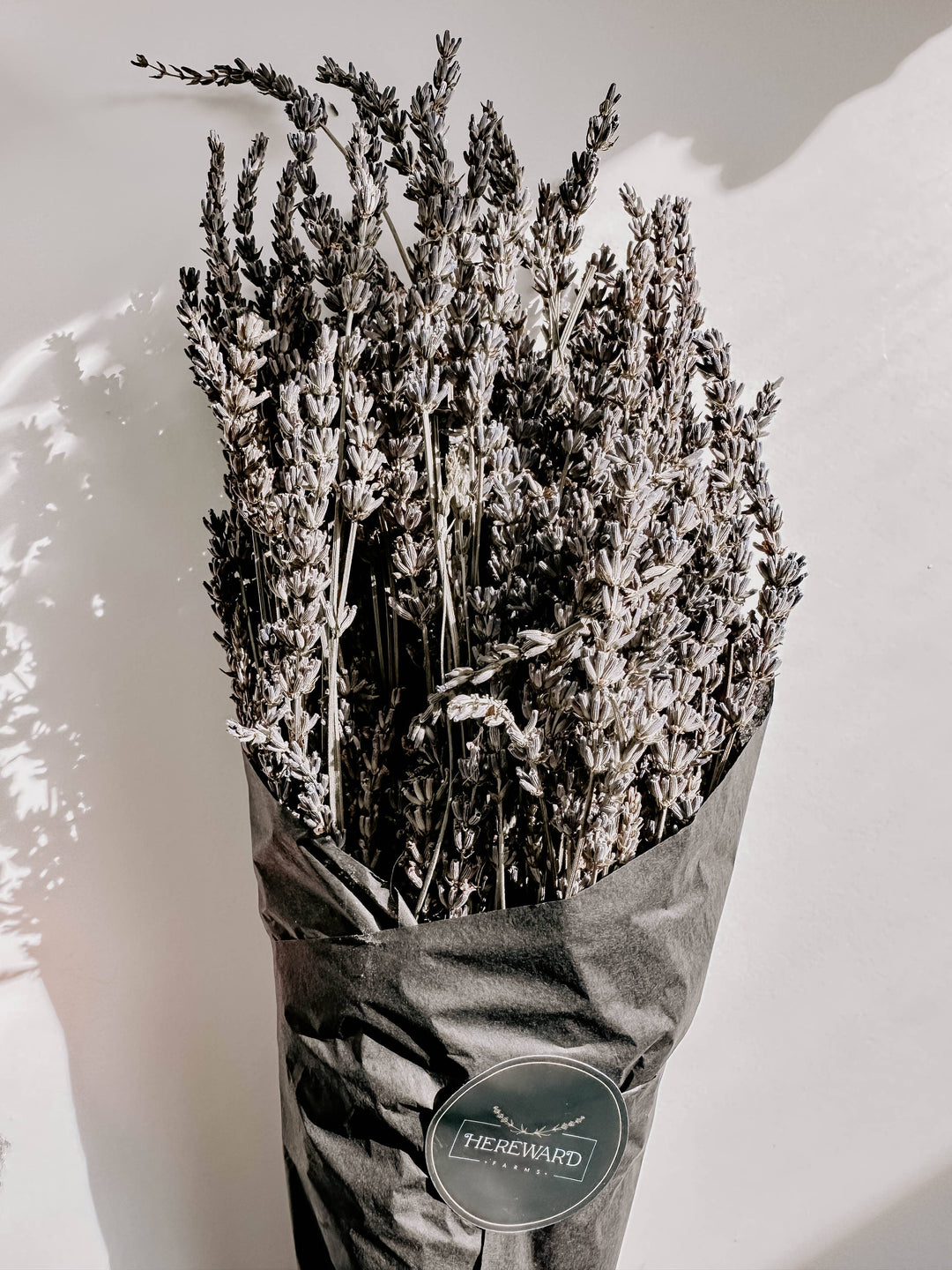 Hereward Farms - Lavender | Dried French Lavender Bunch