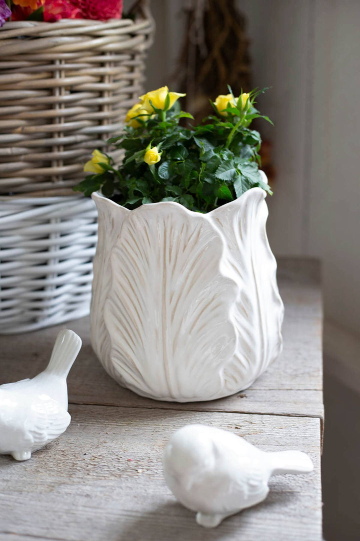 Cream Cabbage Leaf Flower Pot