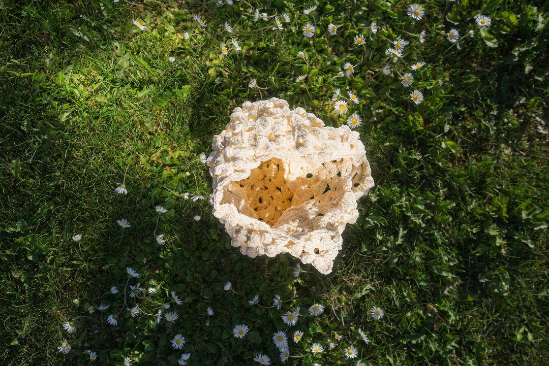 Janzy - White Floral Crochet Tote