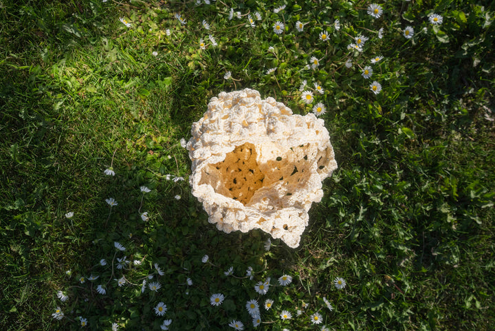Janzy - White Floral Crochet Tote