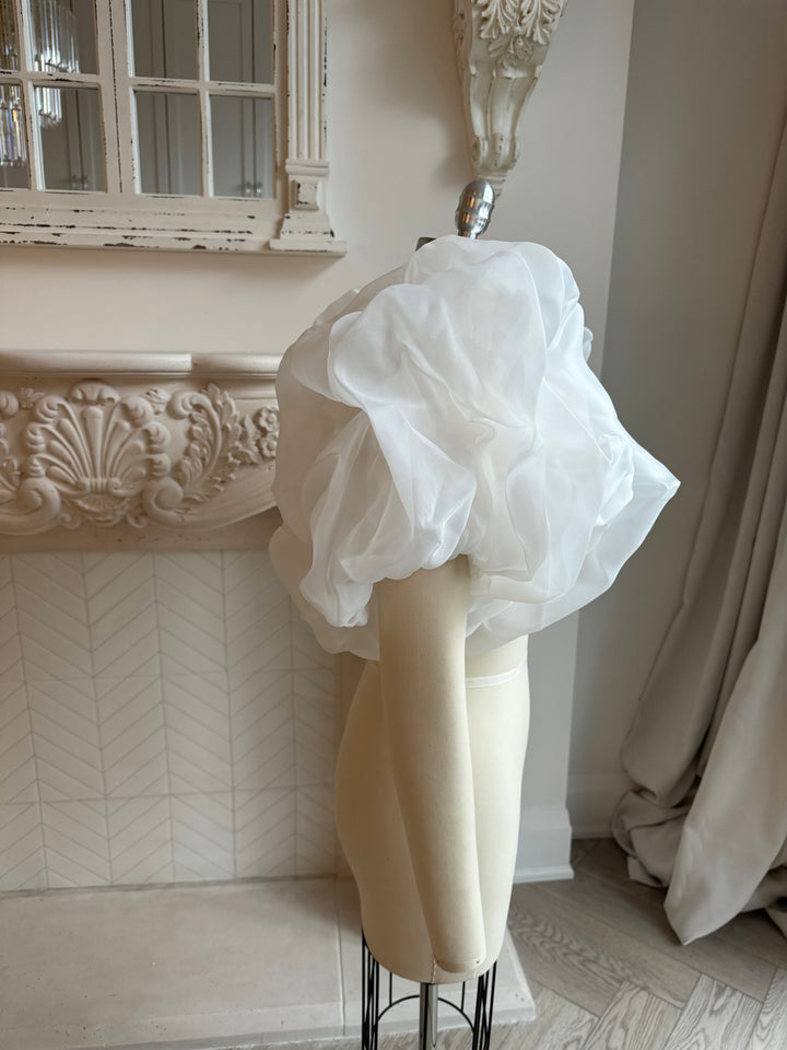 Cloudia Sleeves