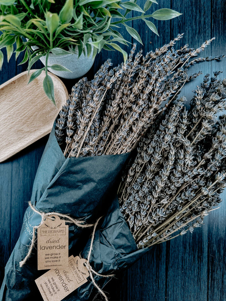 Hereward Farms - Lavender | Dried French Lavender Bunch