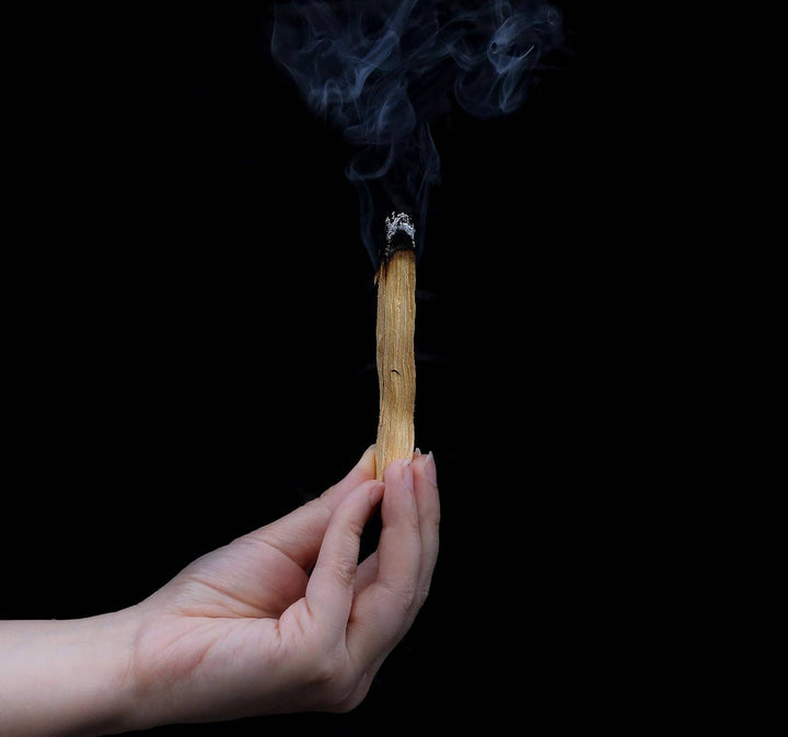 Blooms of Love - Palo Santo Sticks Authentic (Approx. 160 Grams | 5.6 Oz 20 pieces)