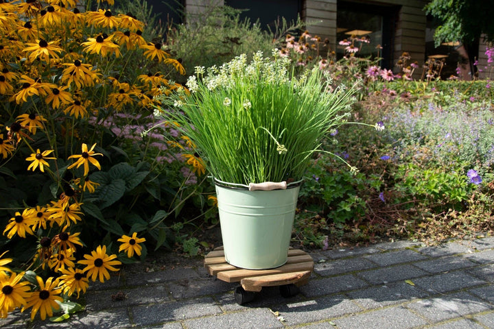 NACH - Outdoor Plant Trolley L, Brown